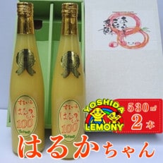 はるかちゃん 530ml 2本セット【1111489】