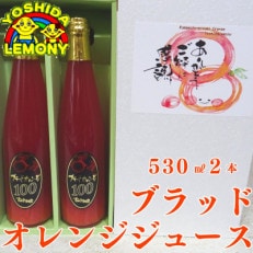 ブラッドオレンジジュース 530ml×2本【1109274】