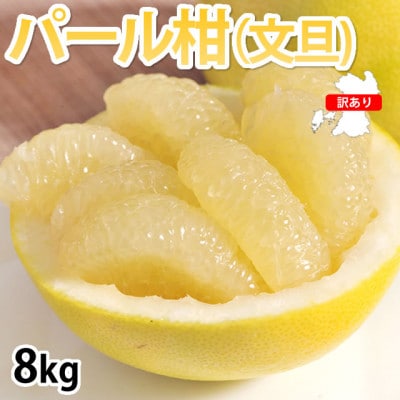 訳ありパール柑 8kg【2026年2月上旬から2026年4月下旬発送予定】(宇城市)【1640755】