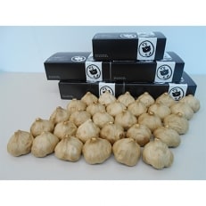 九州電子の黒にんにく 青森産を発酵 L小30玉(約5ヶ月分)【1111303】