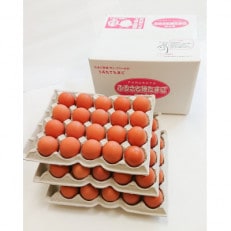 ふるさと地たまご50個入り+破損補償10個【配送不可地域:離島】【1304062】