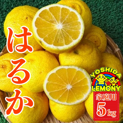 先行予約 はるか みかん5kg(20~30玉)家庭用【1075193】