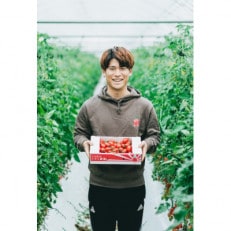 宇城市産フルーツミニトマト アイコ2kg【1408569】