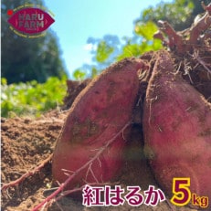 HARUFARMの紅はるか 5kg【1430977】