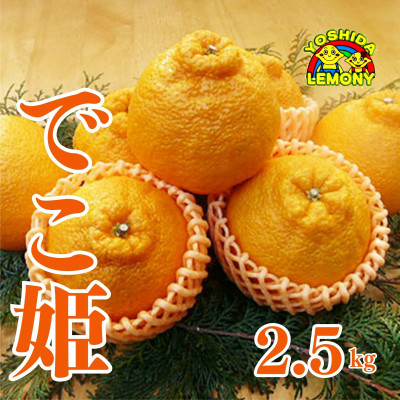 先行予約 不知火 濃味不知火でこ姫 (6玉~12玉 約2.5kg)【1148805】