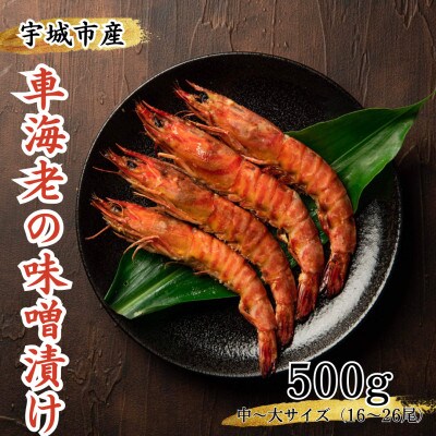 車海老の味噌漬け 500g (16~26尾)中~大サイズ 車えび【配送不可地域:離島】【1244887】