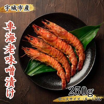 車海老の味噌漬け 250g (8~13尾)中~大サイズ 車えび【配送不可地域:離島】【1244886】