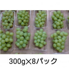 《2025年8月より順次発送》宇城市産・大粒シャインマスカット 約300g×8パック【配送不可地域:離島】【1420859】