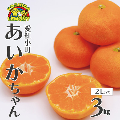 先行予約 みかん 愛紅小町 あいかちゃん 2Lサイズ 約3kg【1028883】