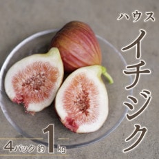 ハウスイチジク 約1kg 約250g×4パック 旬の果物いちじくをお届けします!![宝ファーム][配送不可地域:離島・北海道・沖縄・東北・関東]