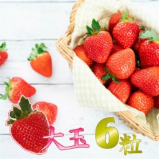 【 JA 熊本うき】いちご 恋のぞみ(ゆりかーご)大玉6粒【配送不可地域:離島】【1521993】