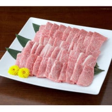 [黒毛和牛]焼き肉用カルビ600g(300g×2パック)(宇城市)[配送不可地域:離島]