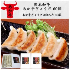 熊本和牛あか牛ぎょうざ 60個(20個入り×3箱)(宇城市)【配送不可地域:離島】【1539305】