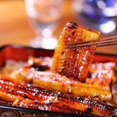 希少!数量限定!海水育ちの天草藍うなぎ 蒲焼き7~10尾セット(宇城市)【配送不可地域:離島】【1552245】