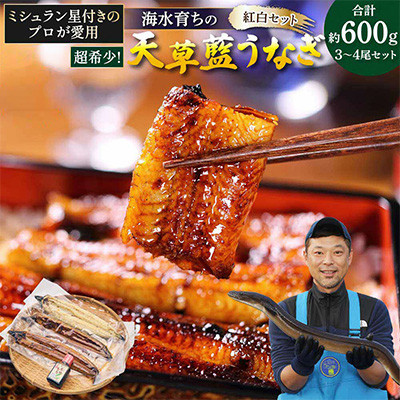 【毎月定期便】希少!海水育ちの天草藍うなぎ 紅白3~4尾セット(宇城市)全3回【配送不可地域:離島】【4056950】