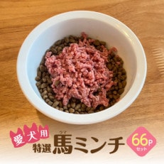 特選馬ミンチ 66パックセット 大阪馬肉屋 ワンちゃん大喜び【配送不可地域:離島】【1557572】
