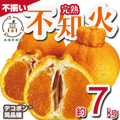 【先行予約!2026年2月上旬から順次発送】 完熟 不知火 約7kg(18玉~35玉) サイズ不揃い【1567821】