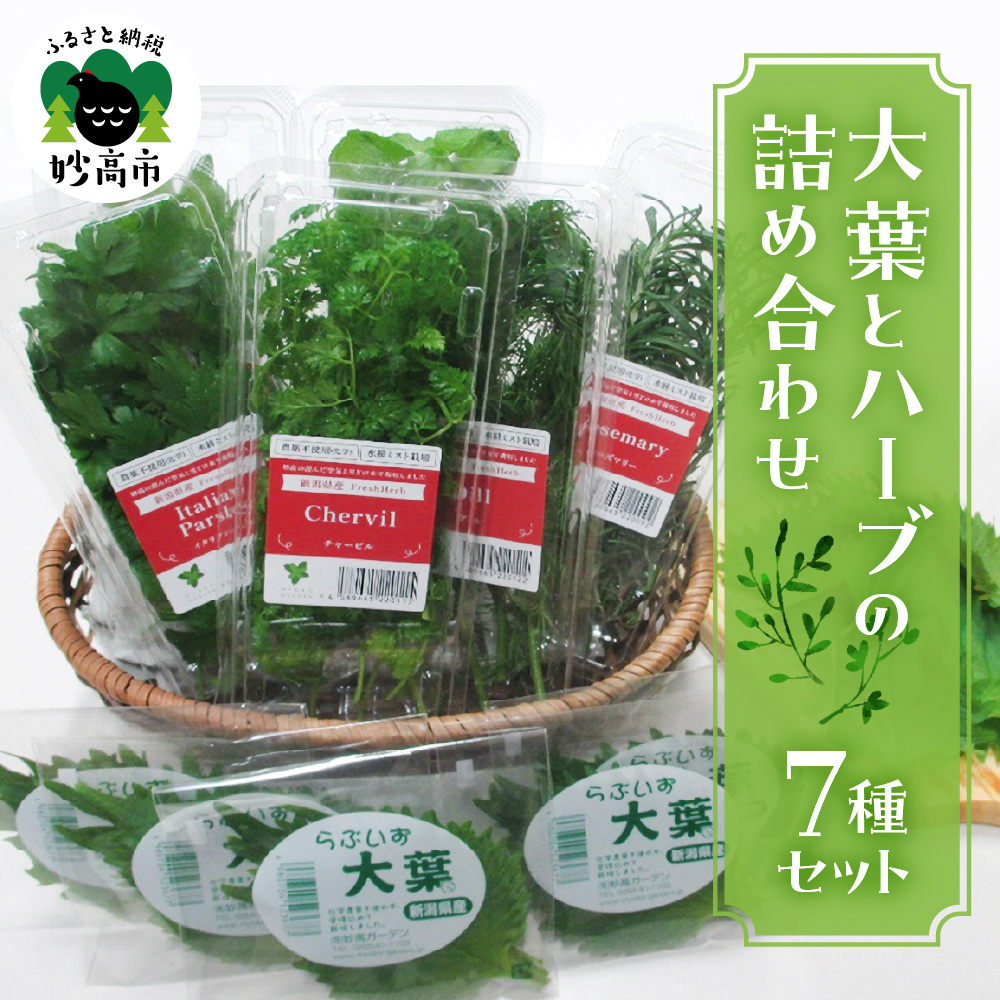 大葉とハーブの詰め合わせセット【新潟県妙高市】