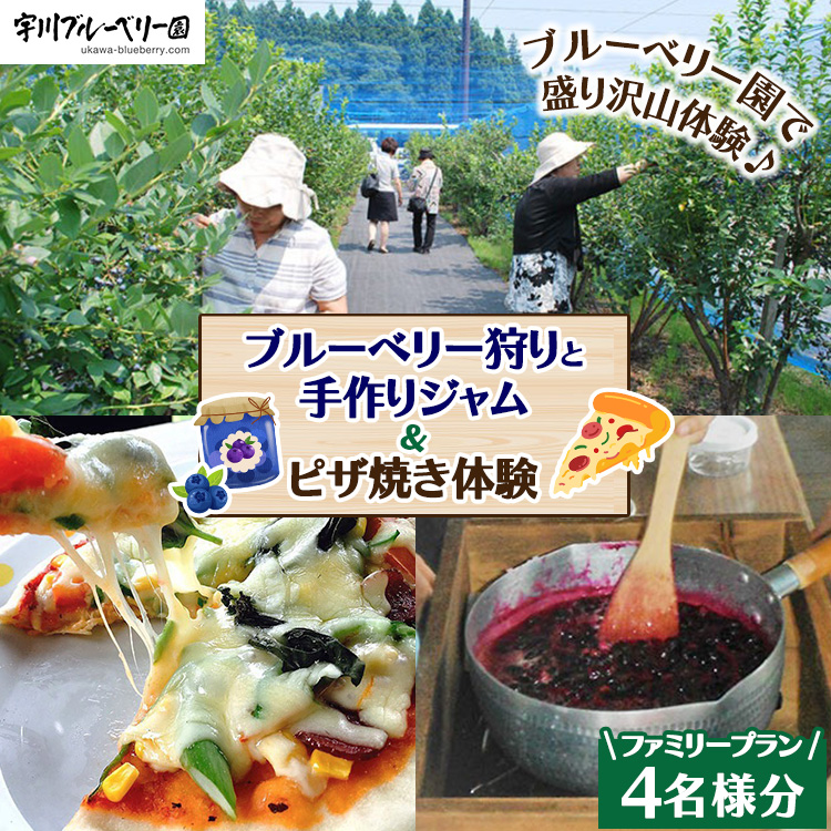【2026年先行予約】【数量限定】ブルーベリー狩りと手作りジャム&ピザ焼き体験ファミリープラン(4名様分)
