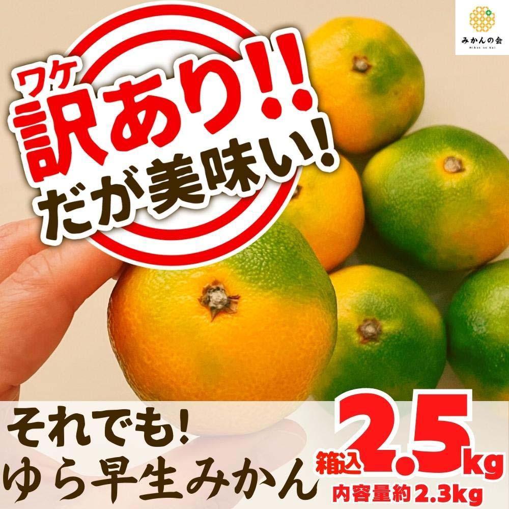 訳あり ゆら早生 みかん 箱込2.5kg (内容量 2.3kg)サイズミックス 有田みかん 和歌山県産 【みかんの会】