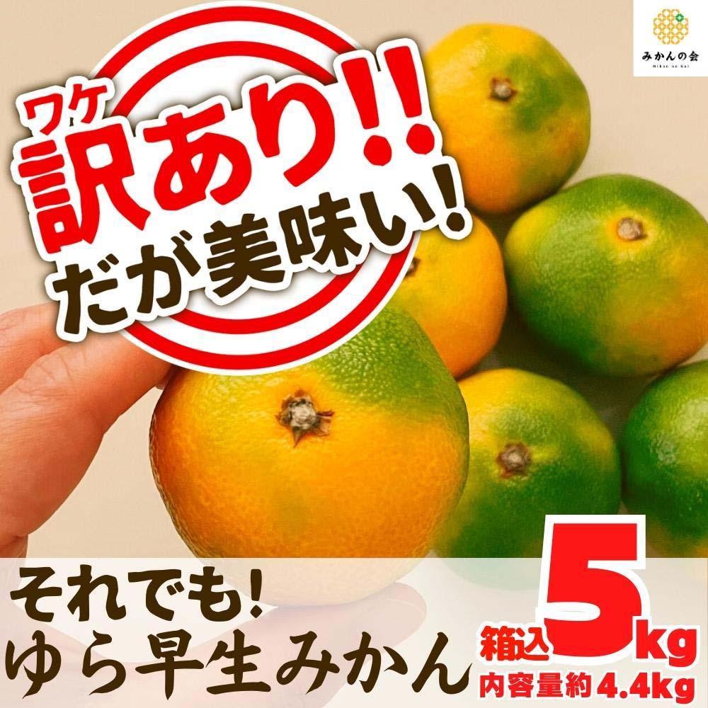 訳あり ゆら早生 みかん 箱込5kg(内容量 4.4kg)サイズミックス  有田みかん 和歌山県産 【みかんの会】