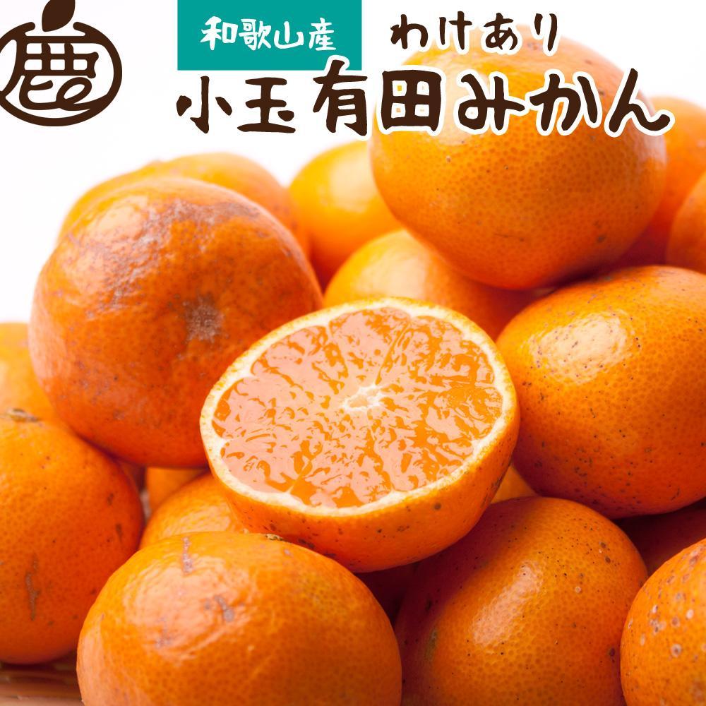 家庭用 小玉 有田みかん2.5kg+250g(傷み補償分)