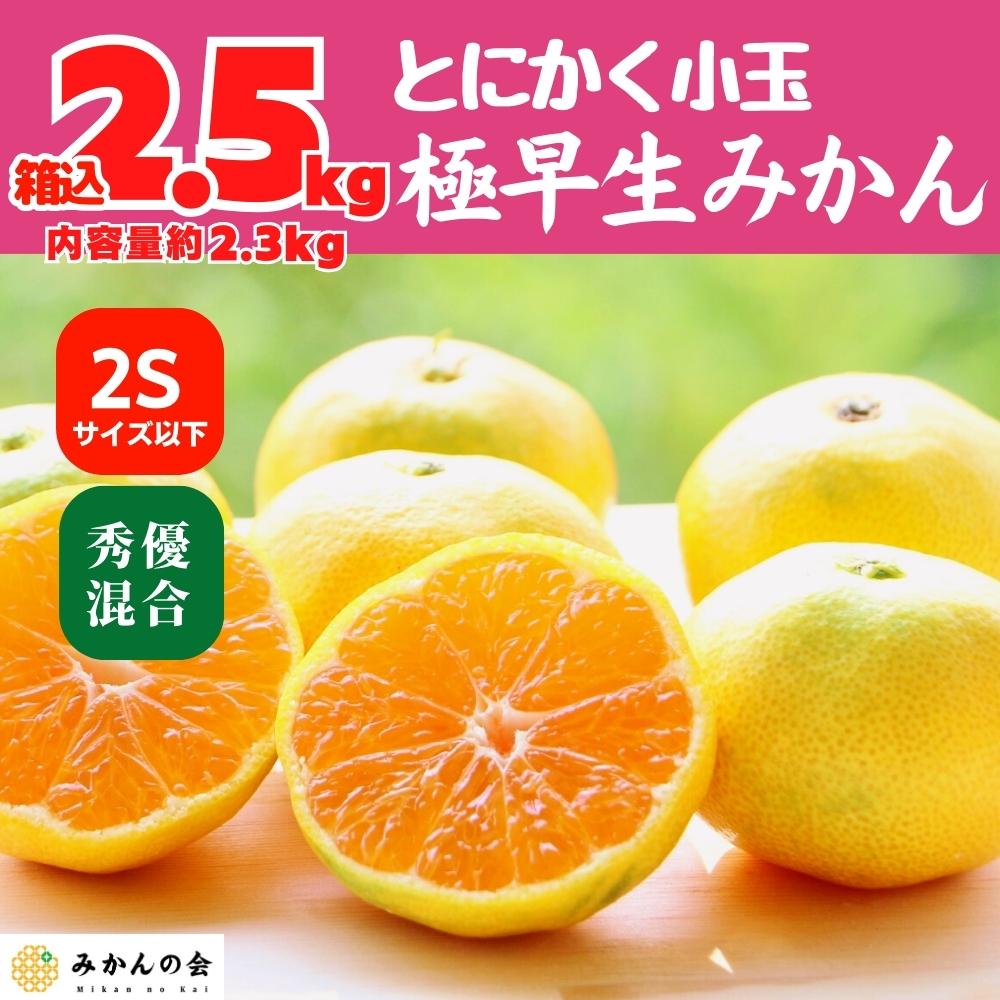 小玉みかん 極早生 箱込 2.5kg (内容量約 2.3kg) 2Sサイズ以下 秀品 優品 混合 有田みかん 和歌山県産 【みかんの会】