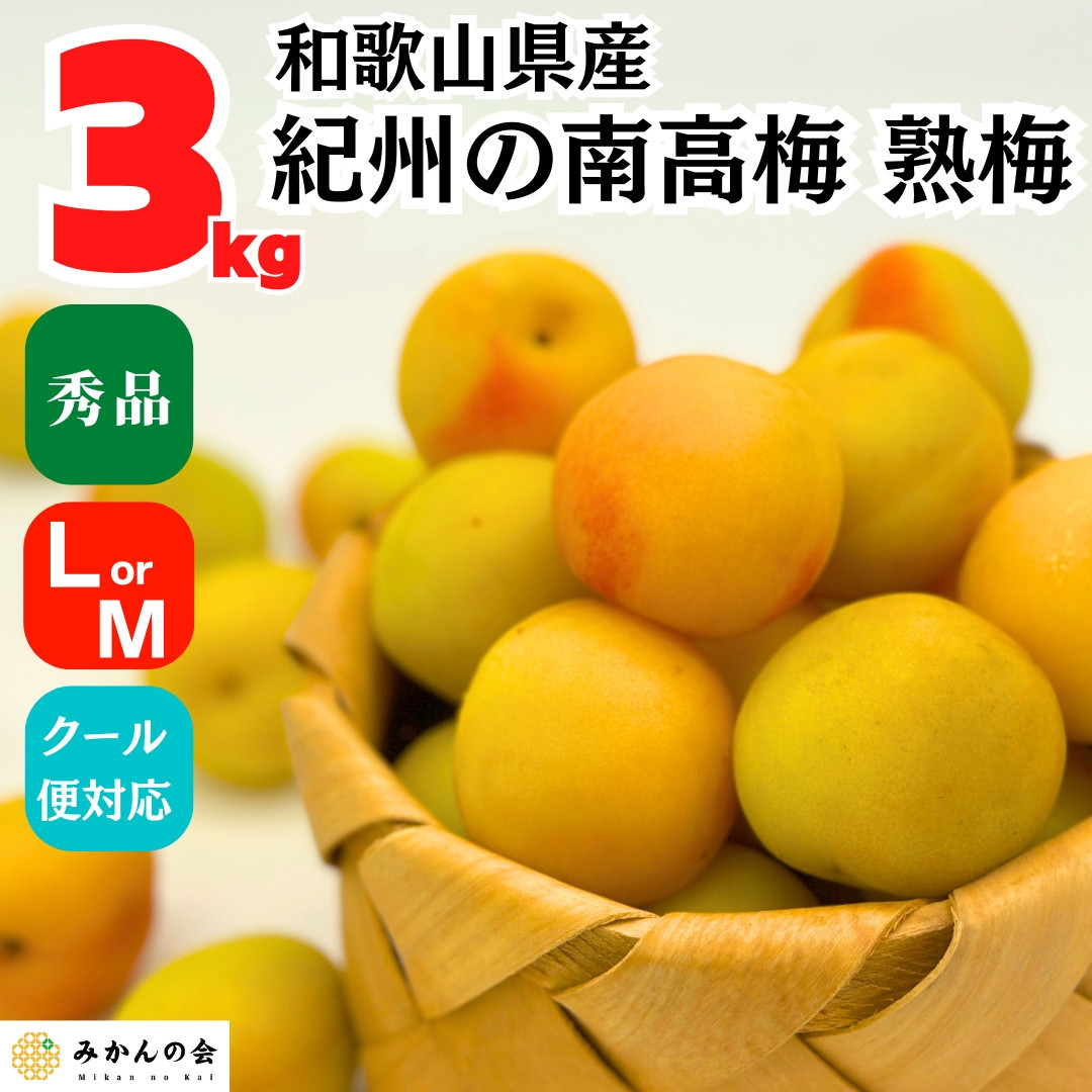 熟梅 南高梅 3kg 秀品 LまたはMサイズ 和歌山県産 A品 梅干し作り用 梅ジャム作り用