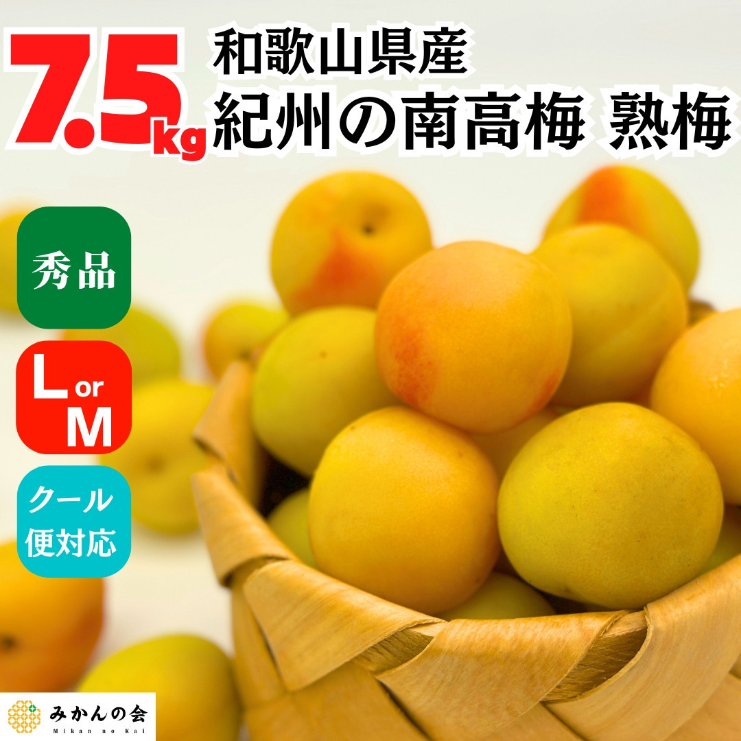 熟梅 南高梅 7.5kg 秀品  LまたはMサイズ 和歌山県産 A品 梅干し作り用 梅ジャム作り用