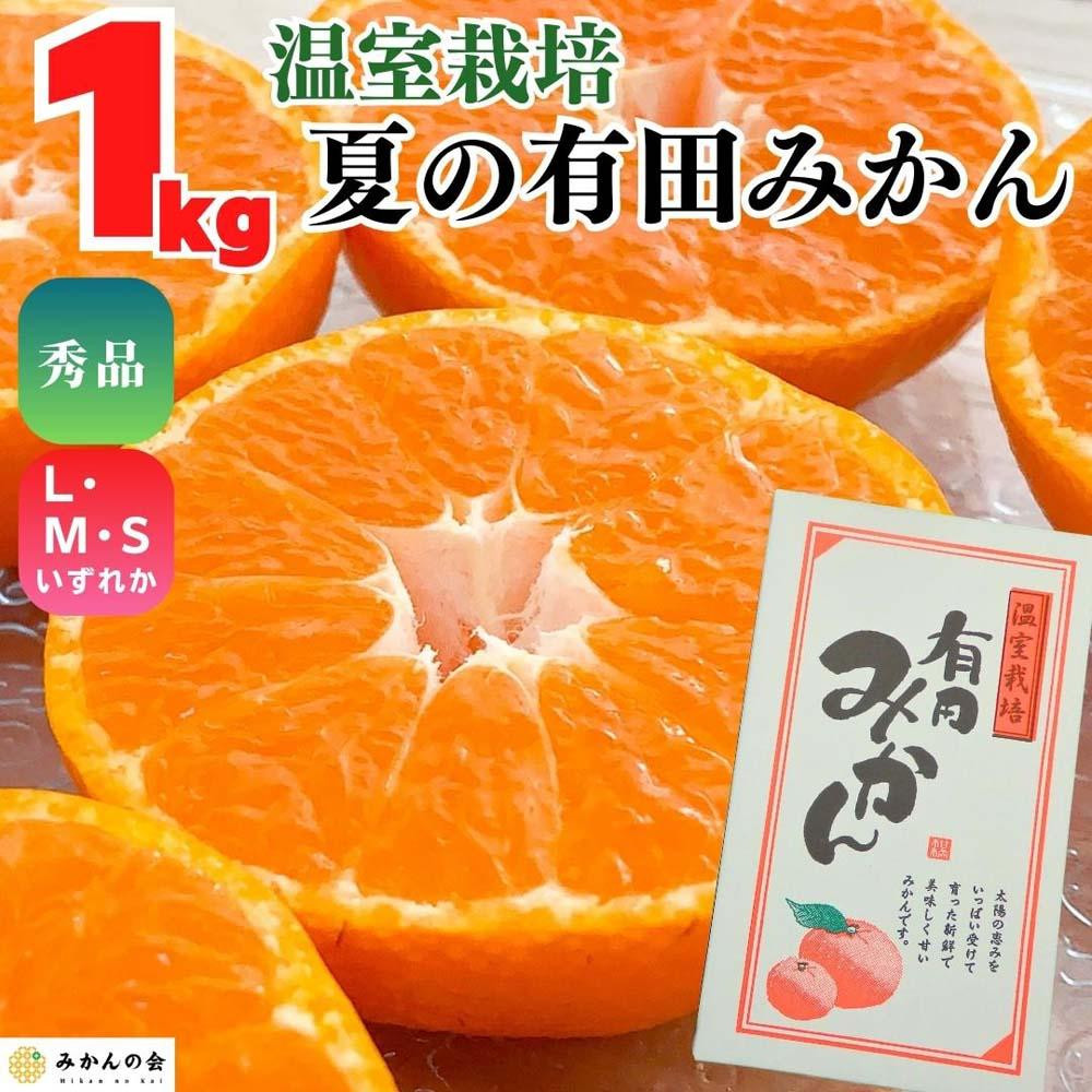 【お中元】ハウスみかん 温室栽培 夏の有田みかん 約1kg 秀品 S・M・Lサイズのいずれか 和歌山県 産地直送 みかんの会 【7月上旬～8月上旬に順次発送】