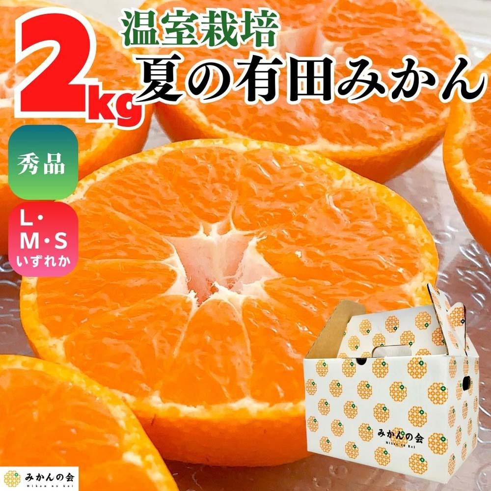 【お中元】ハウスみかん 温室栽培 夏の有田みかん 約2kg 秀品 S・M・Lサイズのいずれか  和歌山県 産地直送 みかんの会 【7月上旬～8月上旬に順次発送】