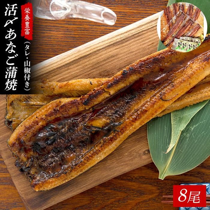 活〆 あなご 蒲焼 8尾セット( 約700g )