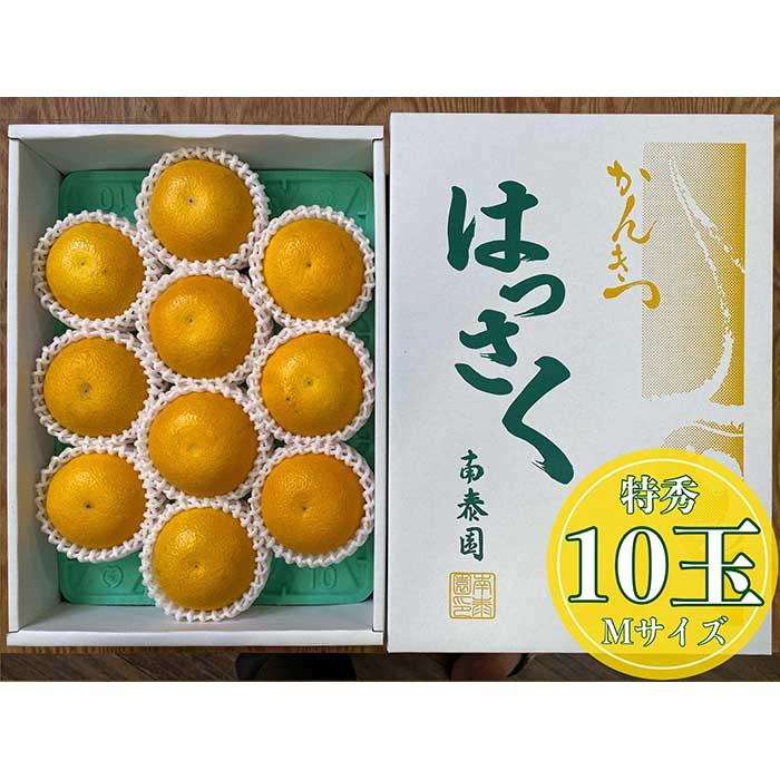 化粧箱 手詰め 有田 はっさく 特秀 M サイズ × 10玉入 南泰園 みかん