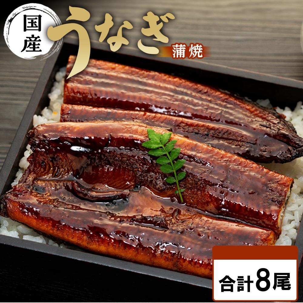 国内産うなぎ蒲焼8尾!