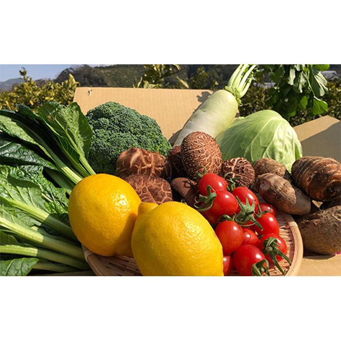 【産地直送定期便】季節の野菜　年6回（隔月お届け）＋11月中旬～12月中旬頃は有田みかん10kgをお届け