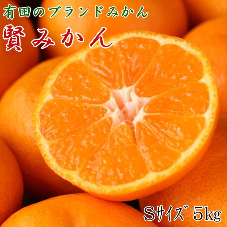 [秀品]有田のブランド「賢みかん」5kg(Sサイズ) 【2025年11月中旬頃より順次発送】