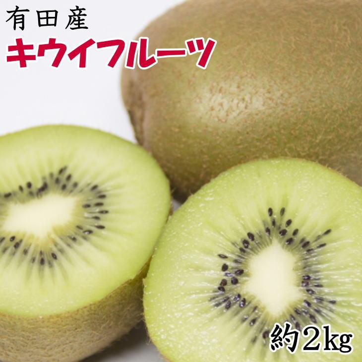 ［人気］有田産キウイフルーツ約２kg（サイズ混合）★2026年１月下旬頃より順次発送