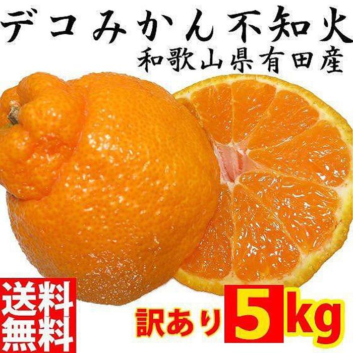 不知火(しらぬい) オレンジ みかん 家庭用 5kg
