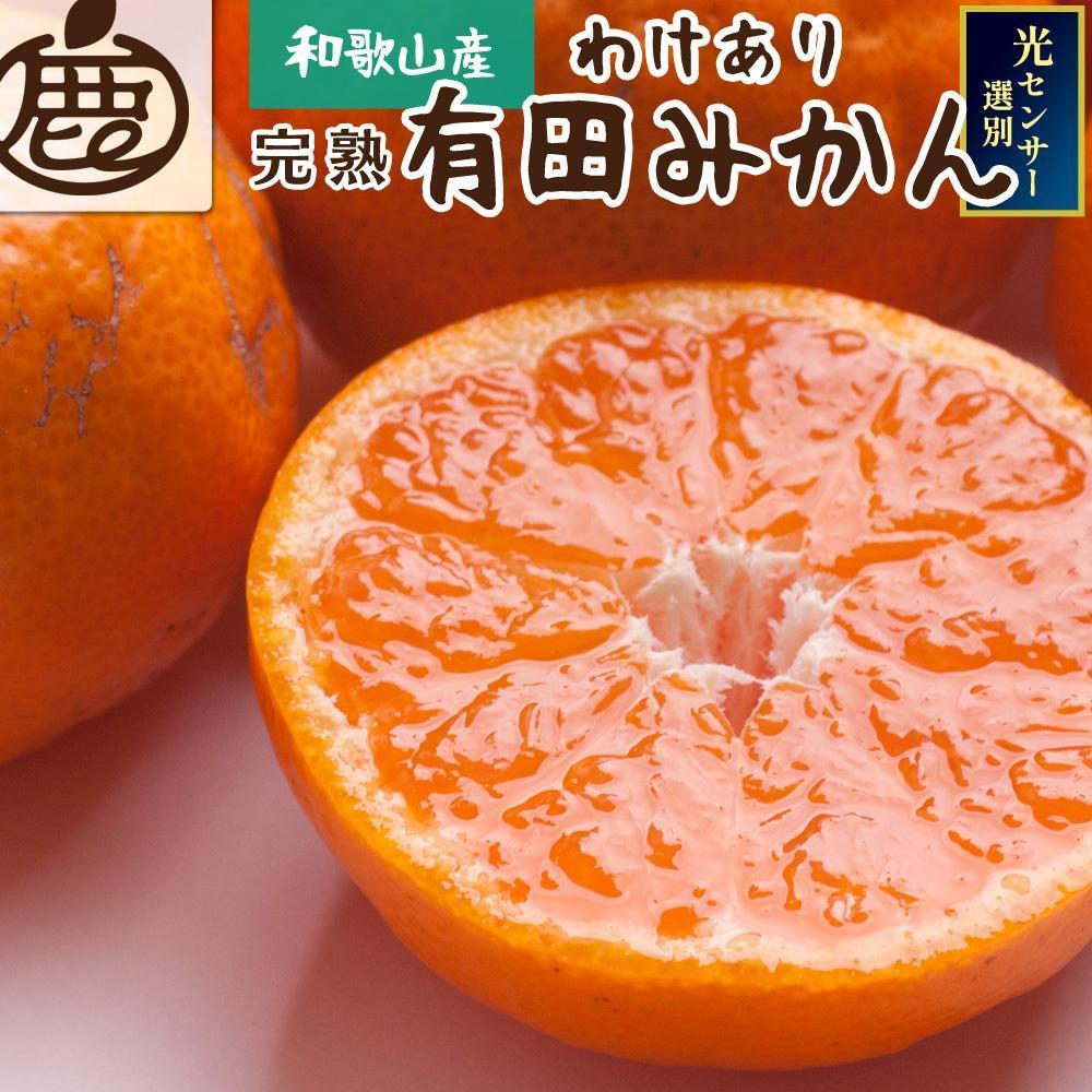 家庭用 完熟有田みかん1kg+250g（傷み補償分）