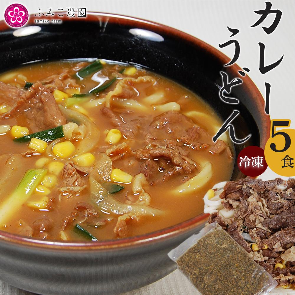 冷凍 カレーうどん5食