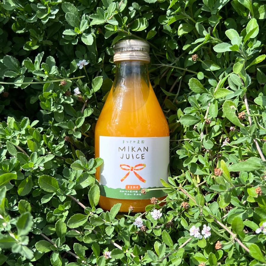 果実飲料 みかんジュース 180ml×30本 草生栽培園の無添加【数量限定】