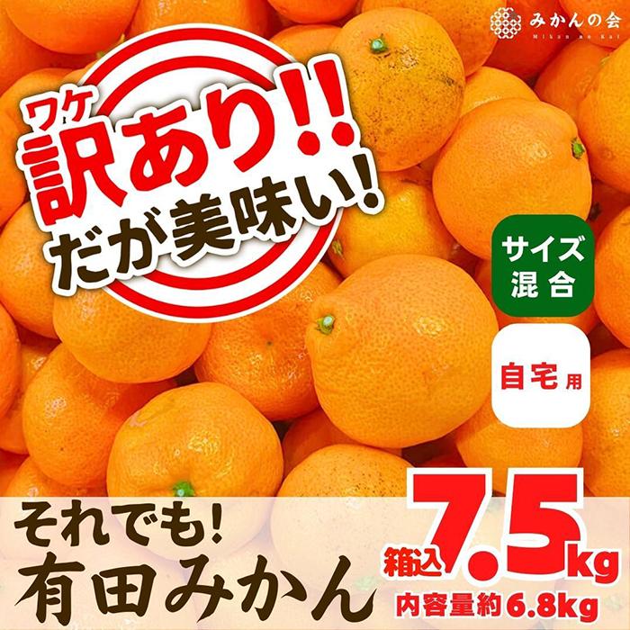 訳あり それでも 有田みかん 箱込 7.5kg (内容量約 6.8kg)  サイズミックス B品 有田みかん 和歌山県産 産地直送 家庭用［2025年11月中旬より2026年1月中旬頃順次出荷予定］［みかんの会］