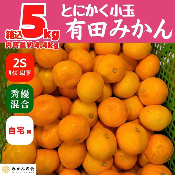 みかん とにかく小玉 箱込 5kg (内容量約 4.4kg) 2Sサイズ以下 秀品 優品 混合 有田みかん 和歌山県産 産地直送 家庭用 ［2025年11月中旬より2026年1月中旬頃順次出荷予定］［みかんの会］