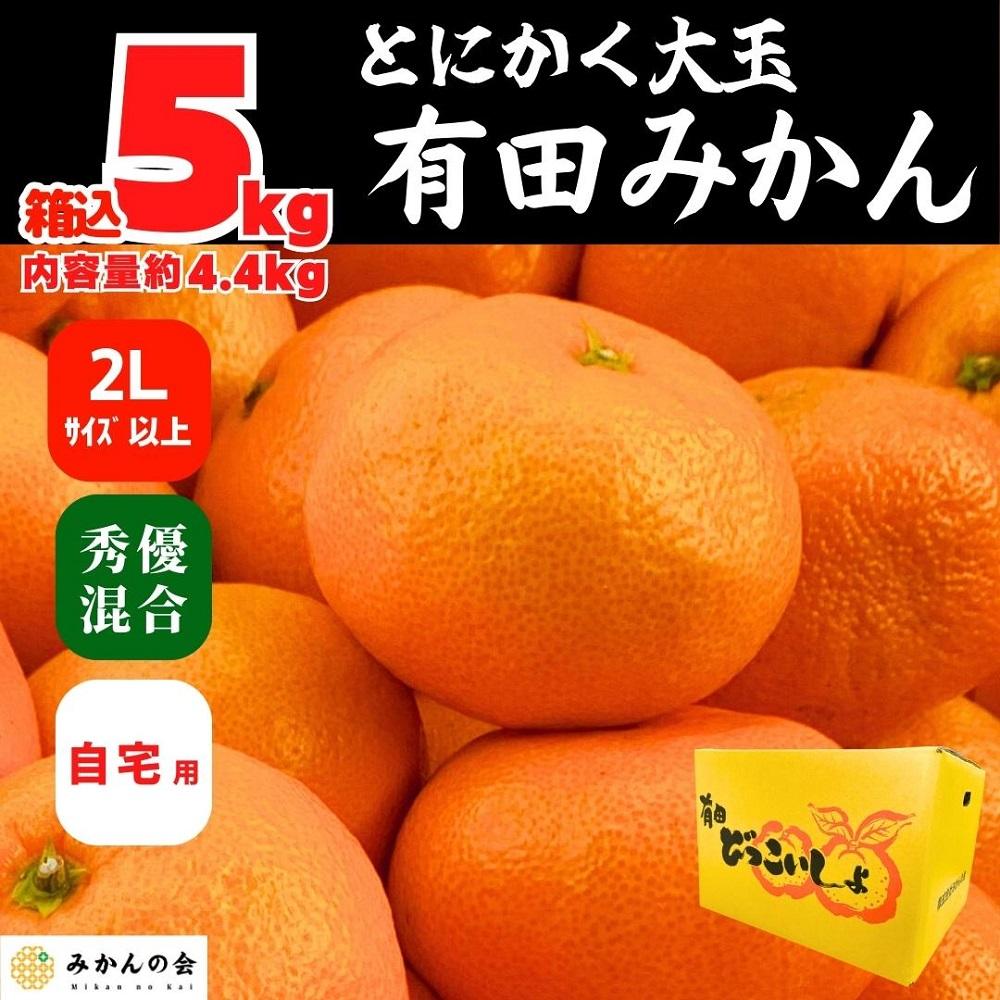 みかん 大玉 どっこいしょ 箱込 5kg ( 内容量約 4.4kg ) 2Lサイズ以上 秀品 優品 混合 有田みかん 和歌山県産 産地直送 家庭用［2025年11月中旬より2026年1月中旬頃順次出荷予定］［みかんの会］