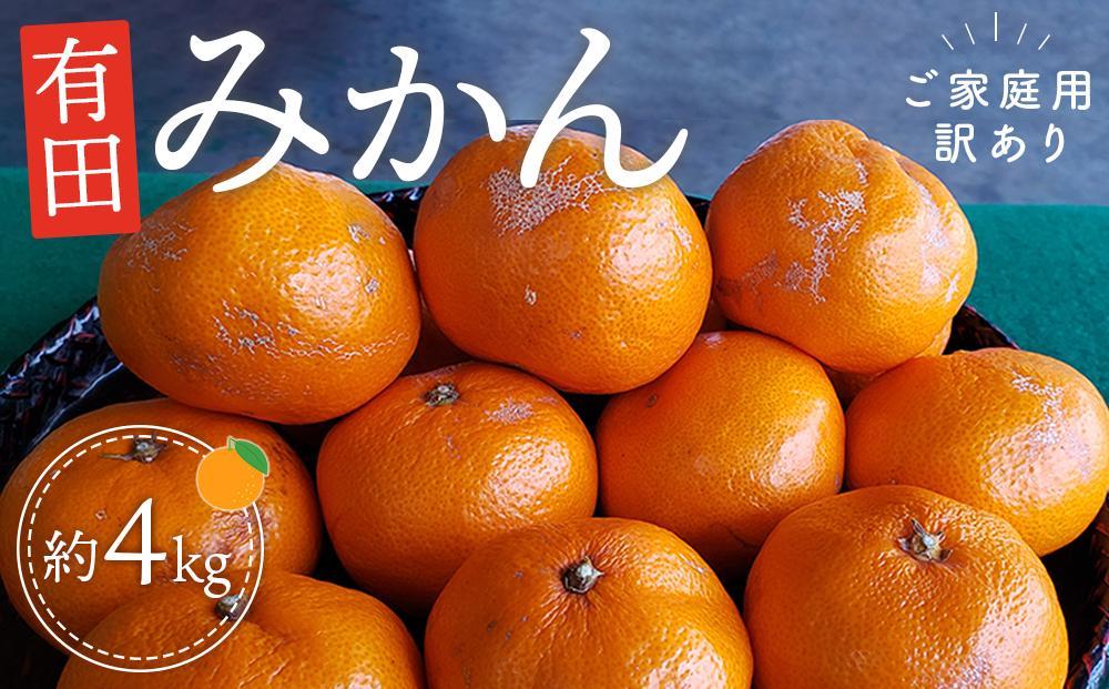 有田みかん 約4kg ご家庭用 訳あり
