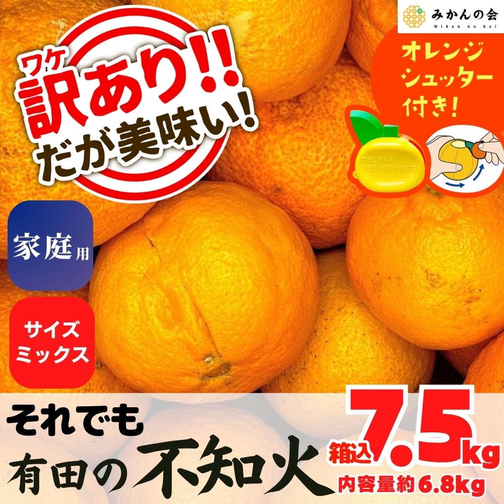 不知火 訳あり それでも 有田の不知火 箱込 7.5kg(内容量約 6.8kg) サイズミックス 和歌山県産 産地直送［みかんの会］