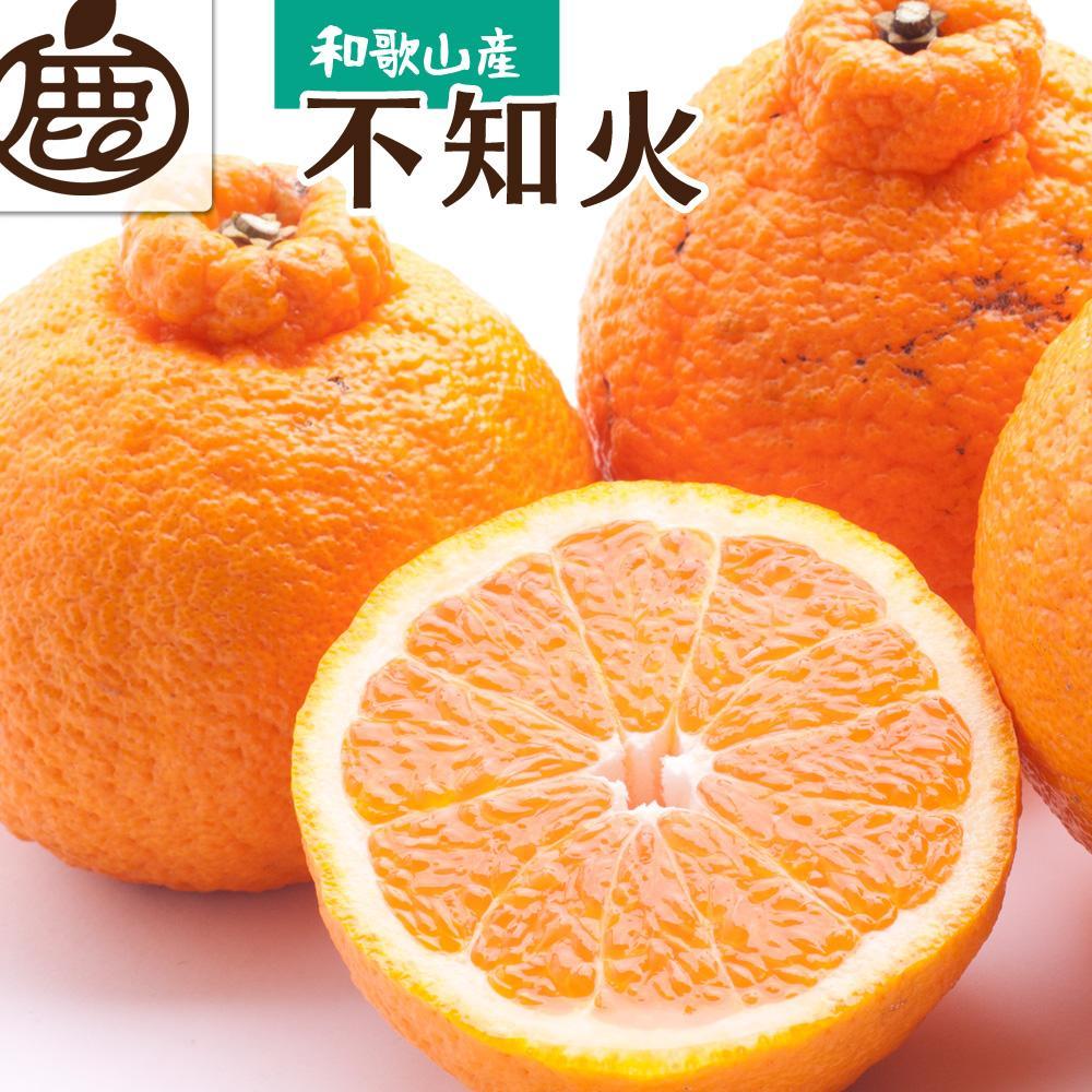 ［先行予約］厳選 不知火1kg+250g（傷み補償分）［デコポンと同品種・人気の春みかん］