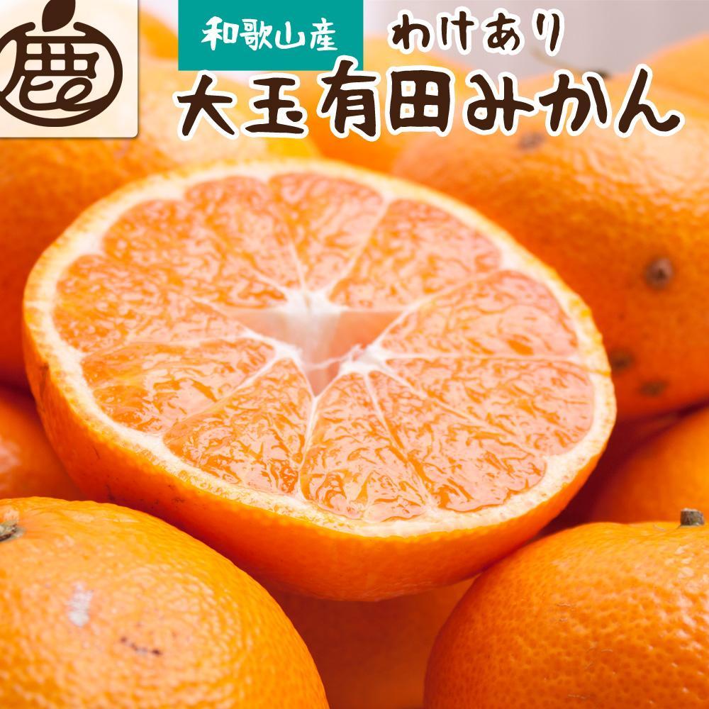 家庭用 大玉 有田みかん2.5kg+250g(傷み補償分)