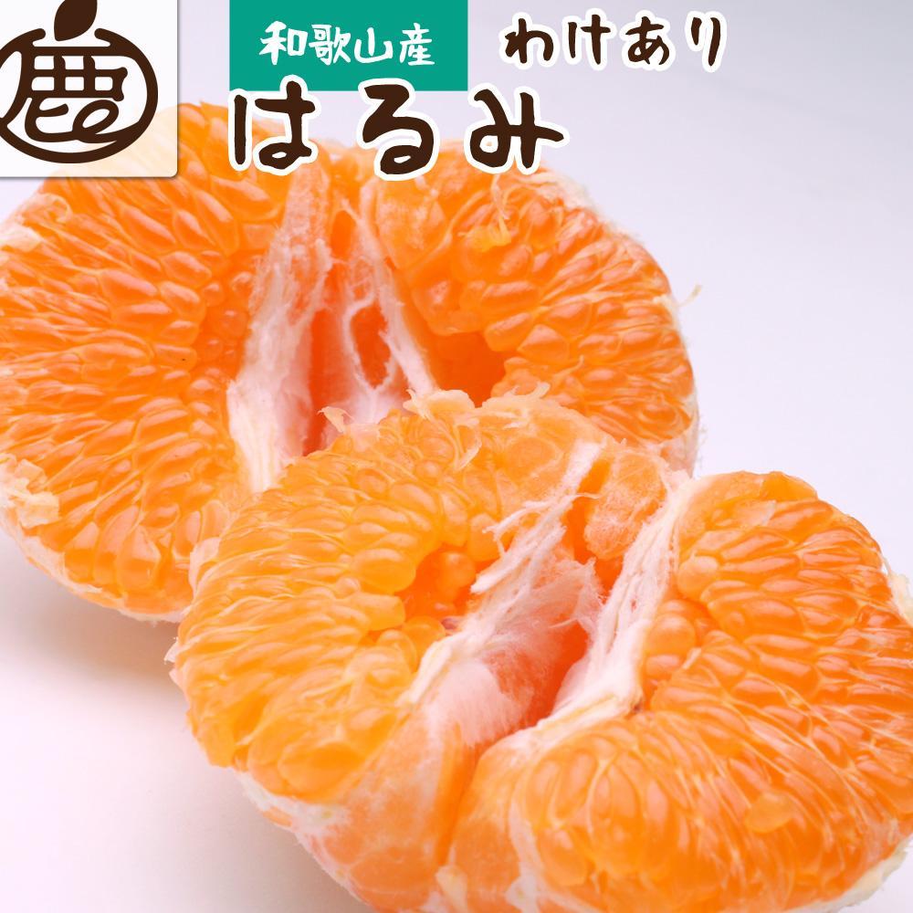 ［先行予約］家庭用 はるみ2.5kg+250g（傷み補償分）［デコポンの姉妹品種・新食感春みかん］［光センサー選別］［わけあり・訳あり］