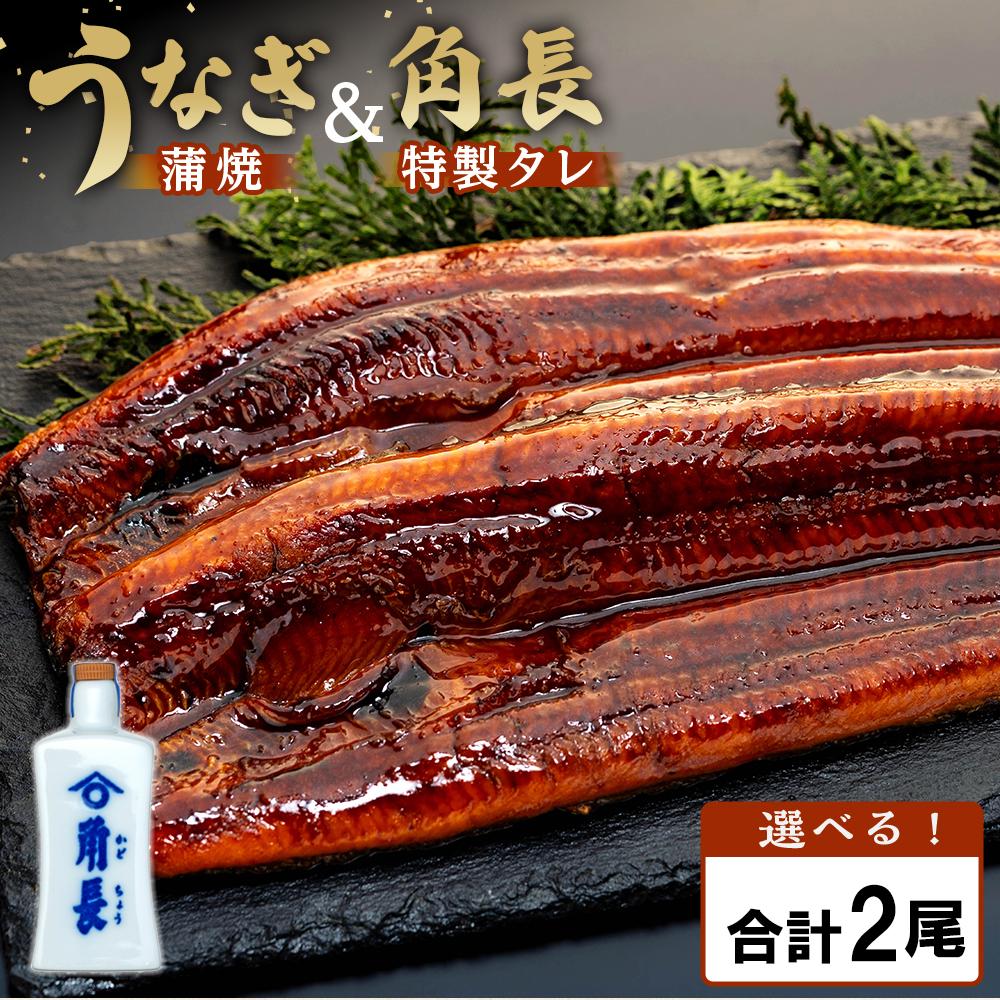 丑の日までにお届け うなぎ蒲焼2本 ＆ 角長特製蒲焼タレ 1本セット【7月15～17日出荷】【有田川町×湯浅町】